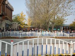 -野鸭湖国家湿地公园