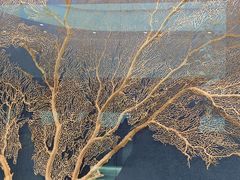 -中国湿地博物馆