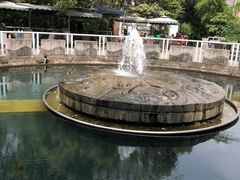 -成都市活水公园