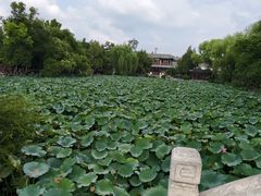 -莲池书院博物馆