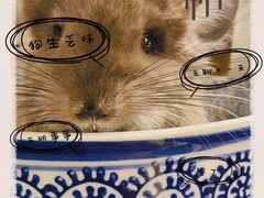 -龙猫仔乐园(惠福东路店)