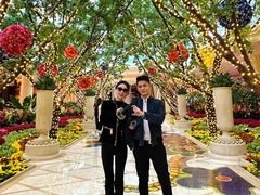 -拉斯维加斯永利酒店