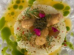 -蝶舍·MAISON PAPILLON