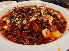 -陶然居·重庆菜(解放碑店)