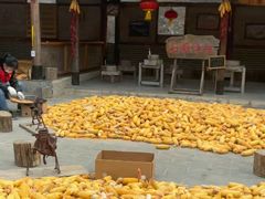 -白草畔自然风景区