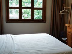 -两棵枇杷树