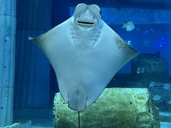 -正佳极地海洋世界