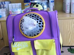 -中农大我爱我爱动物医院·核磁CT·猫病·24小时夜诊中心(石佛营店)