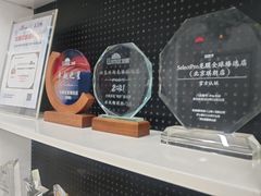 -龙膜全球臻选店·汽车贴膜·隐形车衣(北京琪朗店)