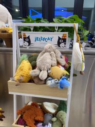 -jELLYCAT(华熙店)
