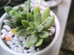 -艾柏堂8090经络·艾灸养生(御庭府邸店)