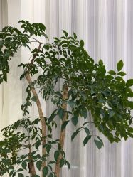 -JNK皮肤管理中心