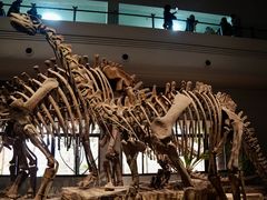 -自贡恐龙博物馆