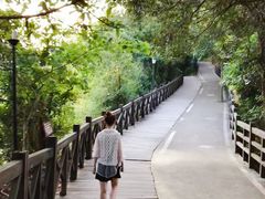 -广州市流溪河国家森林公园
