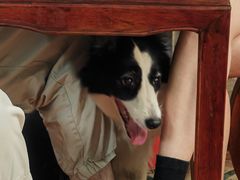 -润生堂(泰然四路店)