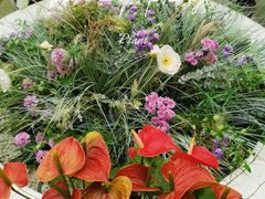 -青岛德国总督楼旧址博物馆