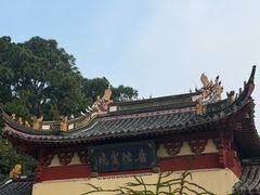 -枣子树·素食餐厅(普陀山店)