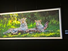 -罗红摄影艺术馆