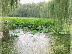 -东升八家郊野公园