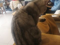 -平行世界·猫咖(首经贸店)