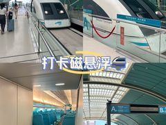 -龙阳路磁悬浮列车总站-停车场