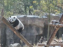 -宁波野生动物园