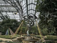 -南山植物园