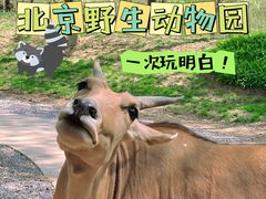 -北京野生动物园
