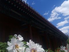 -红螺寺
