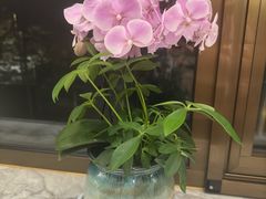 -玉林烤鸭店(垡头店)
