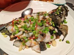 -新兴·金羊座·粤菜点心(乐峰店)