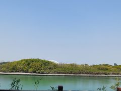 -五缘湾湿地公园