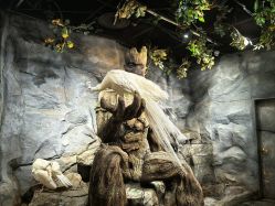 -Zoolung Zoolung动物主题公园(海信广场店)