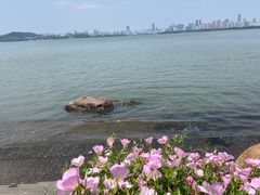 -东湖生态旅游风景区