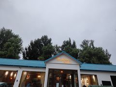 -Sultan pakistan苏单巴基斯坦