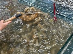 -春华海鲜城(广场西苑店)