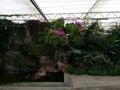 -兰陵国家农业公园