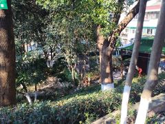 -北极阁公园