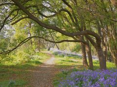 -上海共青森林公园