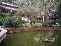 -九龙公园