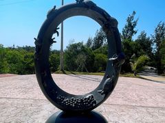 -广东惠东海龟国家级自然保护区