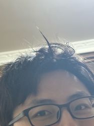 -贝勒爷专业男发