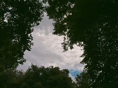 -海德公园