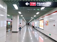 -紫庐(地铁站)