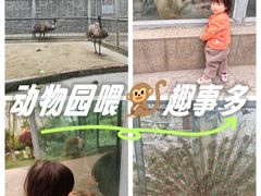 -水绘园