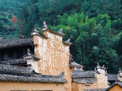 -杨家堂村
