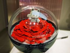 -ROSEONLY诺誓(广州K11店)