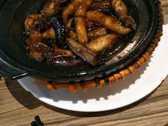 -粤港餐厅(禹州商业广场店)