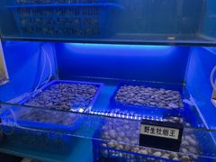 水产区-老虎滩大连海鲜烧烤(建邺云锦路总店)