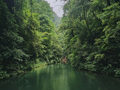 -青城山